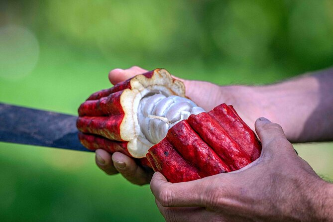 10 Bar Hawaiian Craft Chocolate Tasting Experience - Who will enjoy this most