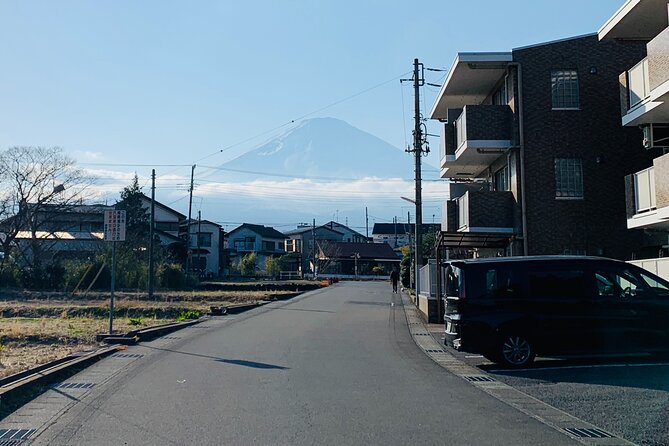 3-Hour Gotemba Food and Nightlife Izakaya Walking Tour - The shrine stop adds a welcome change of pace