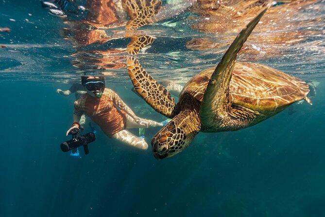 4-Hour Rarotonga Going Troppo Nightlife Tour - The age mix is wider than you might expect