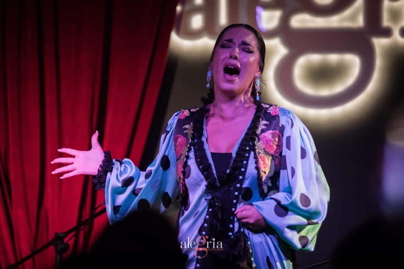Alegria Flamenco in Malaga, with Transfer, Cocktail and Premium Location - Key points at a glance