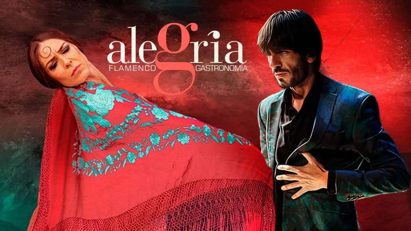 Alegria Flamenco in Malaga, with Transfer, Cocktail and Premium Location - The evening begins at your hotel