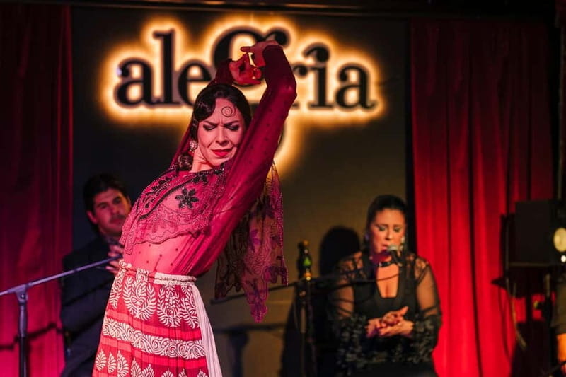 Alegria Flamenco in Malaga, with Transfer, Cocktail and Premium Location - Flamenco without a dinner package
