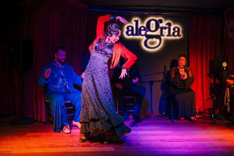 Alegria Flamenco in Malaga, with Transfer, Cocktail and Premium Location - Why the transport can be worth the price