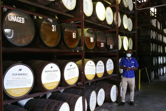Appleton Estate Rum Tour and Pelican Bar Customize Tour - Why Errol matters to the day