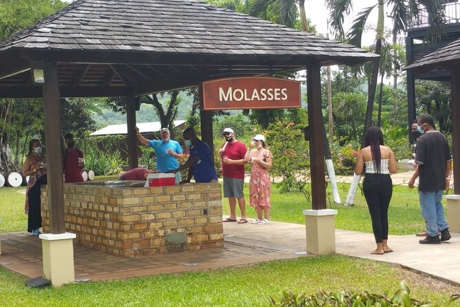 Appleton Estate Rum Tour and Pelican Bar Customize Tour - Who will enjoy this Jamaican day trip