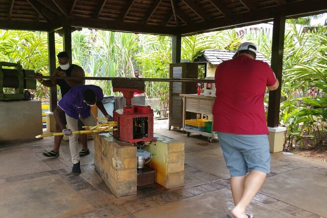 Appleton Estate Rum Tour and Pelican Bar Customize Tour - What happens at Appleton Estate