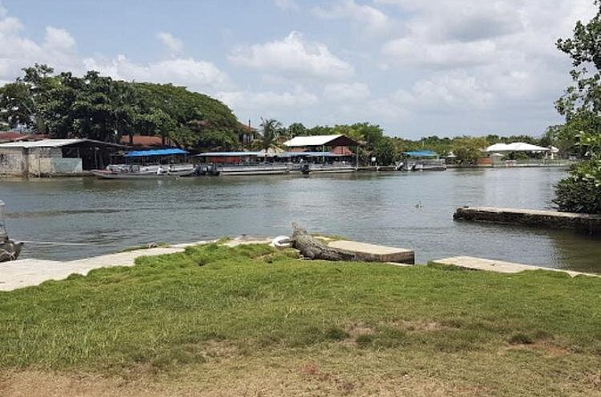 Appleton Estate Rum, YS Falls, Black River Safari / Floyd's Pelican Bar Tour - Appleton Estate for rum and local character