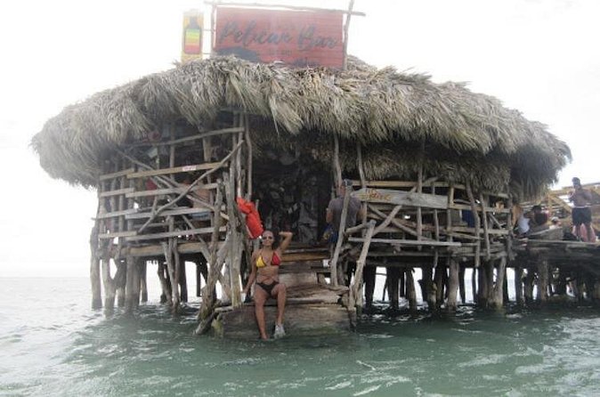Appleton Estate Rum, YS Falls, Black River Safari / Floyd's Pelican Bar Tour - Black River Safari: a slower look at Jamaica