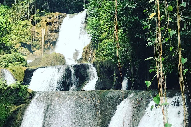 Appleton Rum Factory, Ys Falls, Black River Safari, Floyd’s Pelican Bar - What the $169 price includes