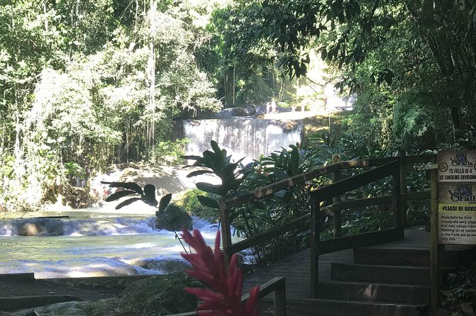 Appleton Rum Factory, Ys Falls, Black River Safari, Floyd’s Pelican Bar - Who will enjoy this tour most
