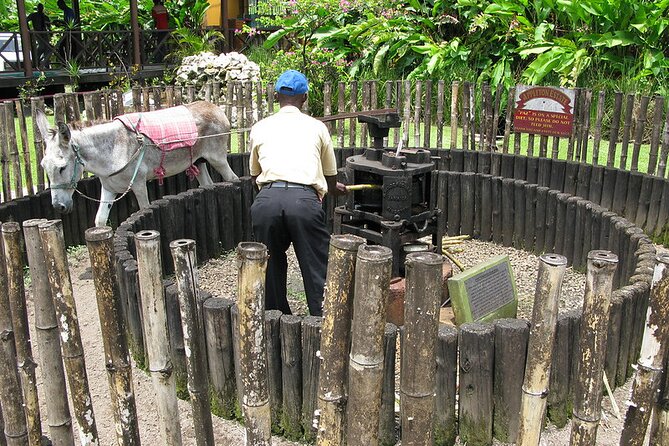 Appleton Rum Tour and Floyd’s Pelican Bar from Montego Bay Hotels and Villas - Who will enjoy this outing most