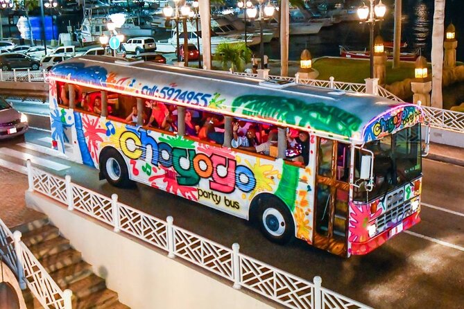 Aruba Nightlife and Barhopping on Chogogo Party Bus - The staff can make or break the night
