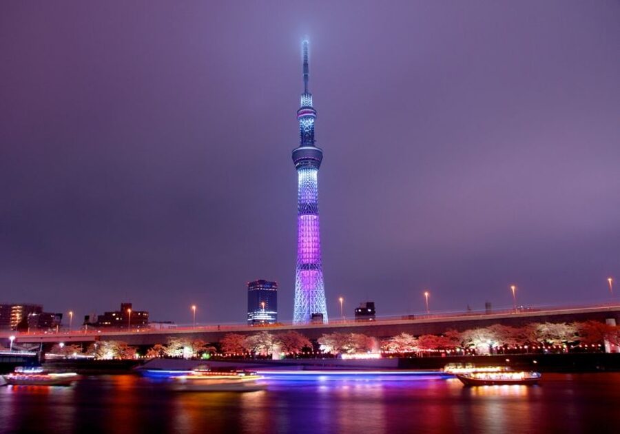 Asakusa: Culture exploring bar visits after history tour - Who should book this Asakusa evening