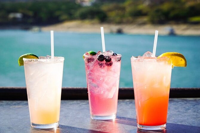Austin Lake Travis Barge Crawl Bar Hopping Tour by Boat - A five-hour bar crawl that begins on the water