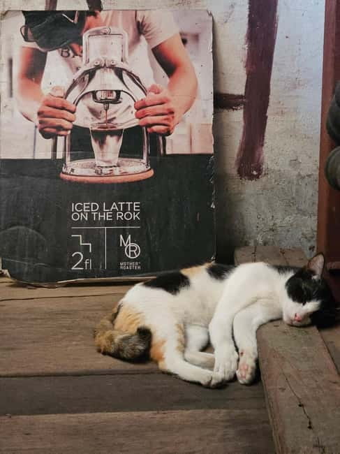 Bangkok: Bar hop Sunset, Dinner, speakeasy, and live music. - Practical details that affect your evening