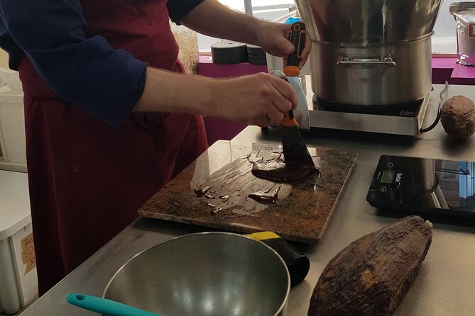Become a Chocolate Master! Chocolate Bar Workshop in Paris - The first lesson: chocolate from tree to bar