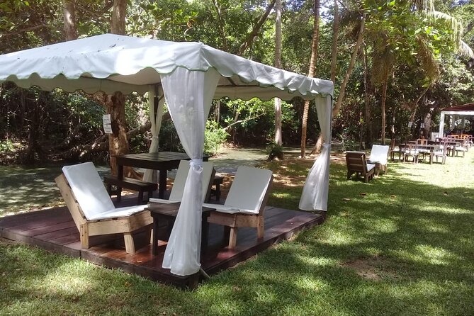 Blue Hole and Dunn’s River Falls Tour with Lunch and Cocktails at Reggae Hill - Transportation can shape your whole day