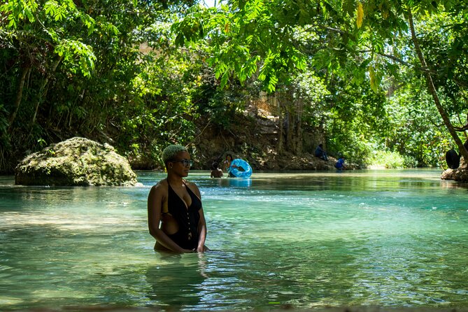 Blue Hole and Dunn’s River Falls Tour with Lunch and Cocktails at Reggae Hill - Who will enjoy this excursion most