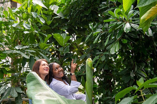 Bombay Sapphire Gin Distillery Tour and Cocktail - The Botanical Room helps you find your preferred flavours