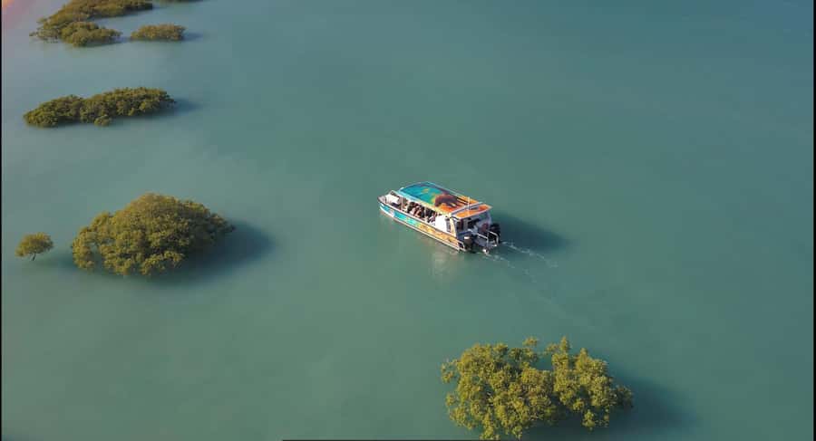BROOME: DINOSAUR ADVENTURE CRUISE - With Tapas and Cocktail - A guided cruise through Roebuck Bay