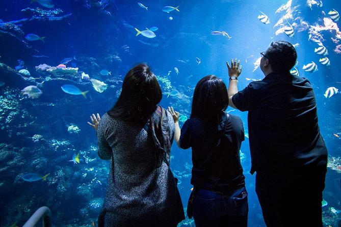 California Academy of Sciences NightLife Admission Ticket - Aquariums, Penguins, and Claude the Alligator