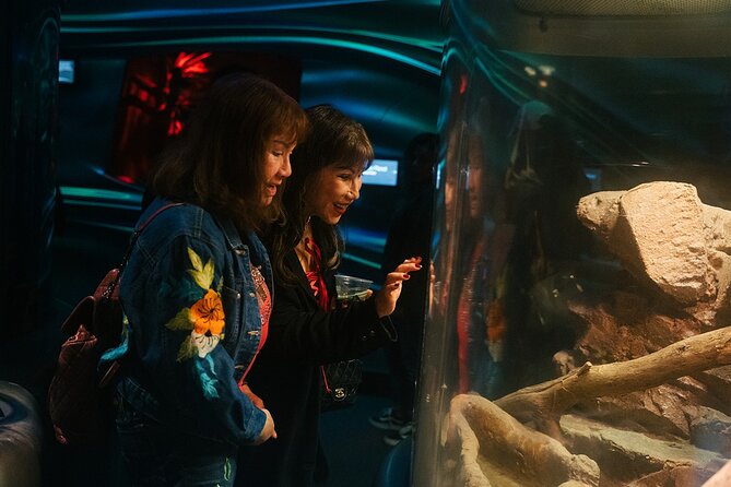 California Academy of Sciences NightLife Admission Ticket - How to Use the Four Hours Well