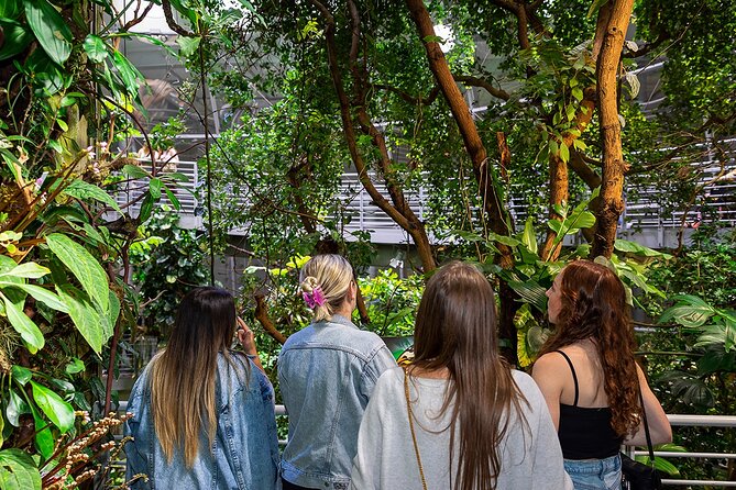 California Academy of Sciences NightLife Plus Admission Ticket - Starting at 6 pm makes the most sense