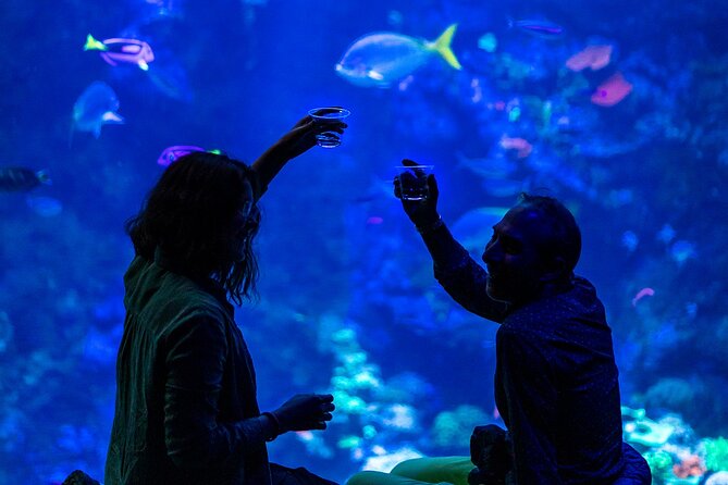 California Academy of Sciences NightLife Plus Admission Ticket - Priority access to the Osher Rainforest