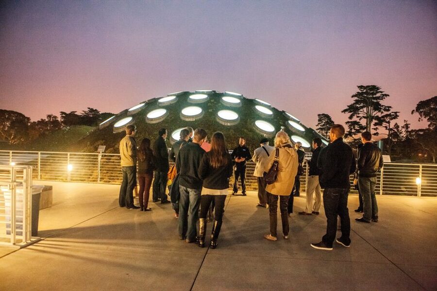 California Academy of Sciences Thursday NightLife Admission - What NightLife is really like at the Academy