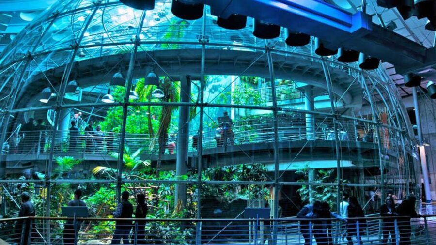California Academy of Sciences Thursday NightLife Admission - Claude the albino alligator and the living collections
