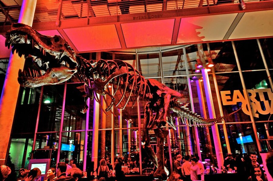 California Academy of Sciences Thursday NightLife Admission - Aquarium and natural history exhibits