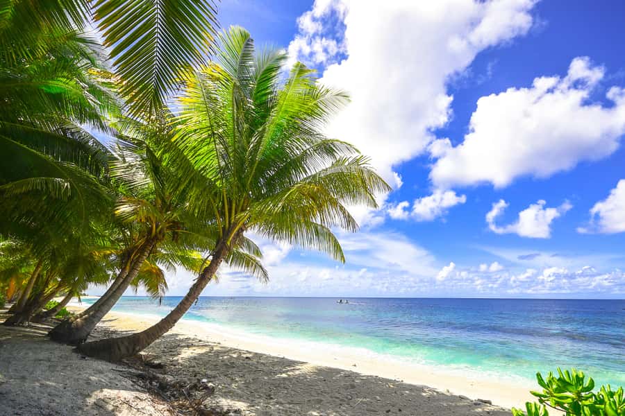 Cartagena: 5 Islands Boat Tour with Lunch, Snorkeling, & Bar - A long Caribbean day from Bocagrande