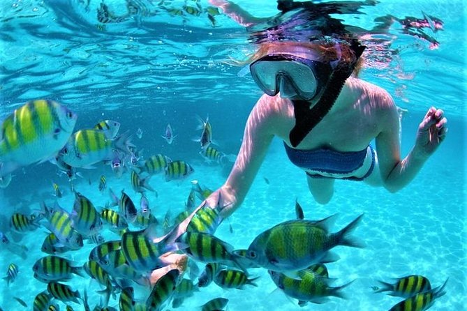 Catamaran Ile aux Cerfs, snorkeling + GRSE Waterfall, BBQ & Bar - Snorkeling, swimming, and optional watersports