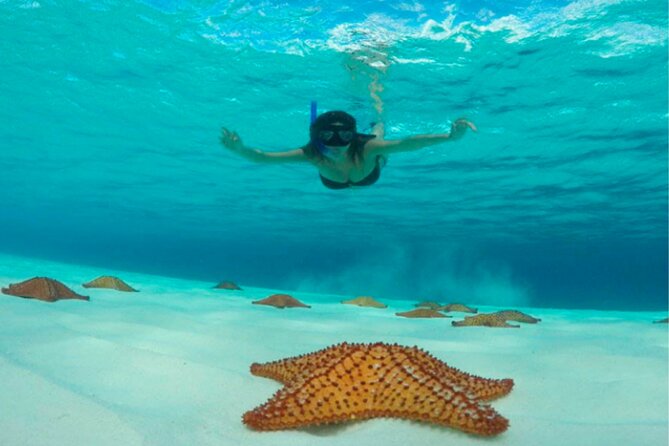 Catamaran Snorkeling to El Cielo and The Money Bar Beach Club - Money Bar before and after the boat