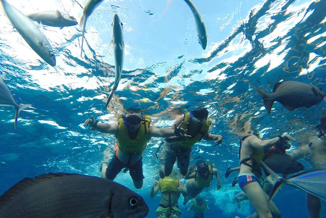 Catamaran Snorkeling to El Cielo and The Money Bar Beach Club - Timing matters for cruise ship passengers