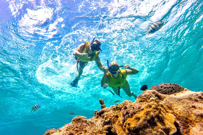Catamaran Snorkeling to El Cielo and The Money Bar Beach Club - Who should book this Cozumel trip?