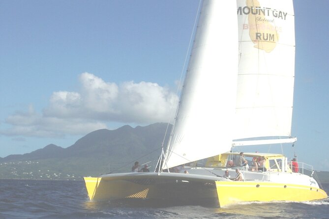 Catamaran Sunset and Cocktail Cruise - Cocktails, appetizers, and the social mood
