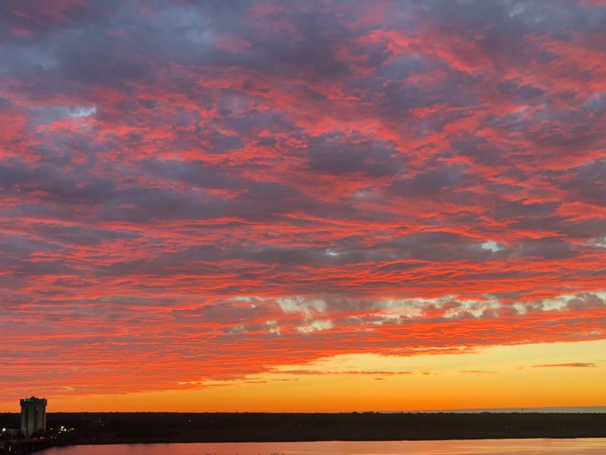 Charleston: Harbor Bar Pedal Boat Party Cruise - Key points to know before booking
