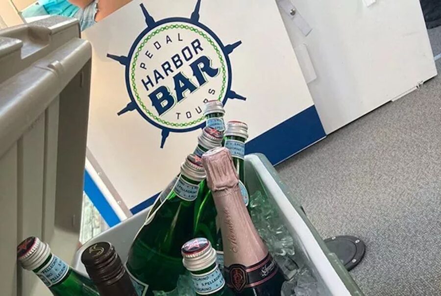 Charleston: Harbor Bar Pedal Boat Party Cruise - The captain and crew set the tone