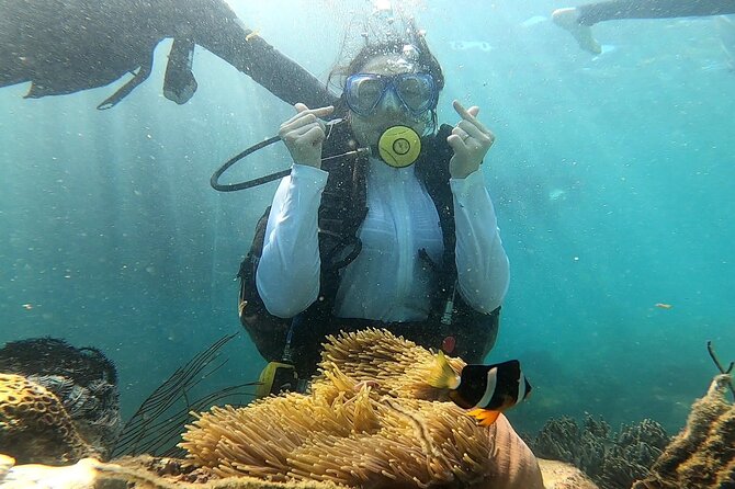 Coral Reef Snorkeling and Floating Bar Party from Nha Trang - Con Se Tre lunch and island time