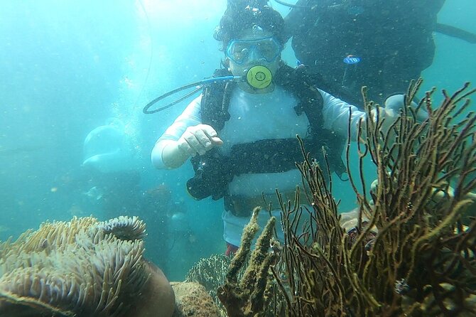 Coral Reef Snorkeling and Floating Bar Party from Nha Trang - Hon Tam snorkeling and the first water stop
