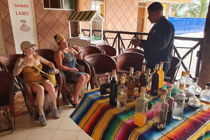 Cozumel 5-Hour Private Bar Crawl Tour - Mojito Factory is the closest stop to the beach