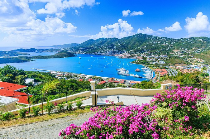 Da Conch Crawl- Walking Tour and Bar Crawl Downtown St. Thomas - Two beer traditions at Taphus Beer House