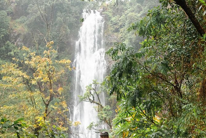 Day trip to Materuni waterfall, Coffee tour and Moshi Nightlife - Who will enjoy this day most
