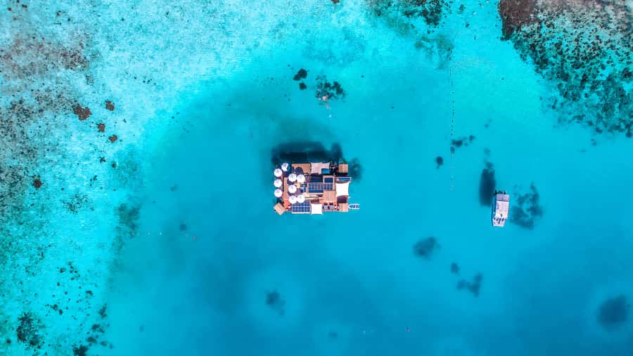 Denarau: Seventh Heaven Floating Bar Day Trip - Food, cocktails, and the real cost of the day