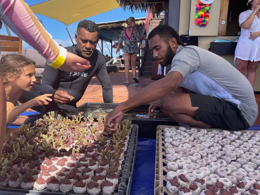Denarau: Seventh Heaven Floating Bar Day Trip - Is the $77 ticket good value?