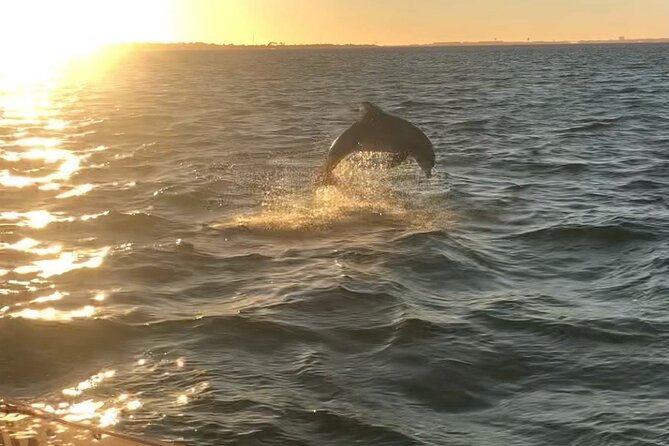 Destin's Floating Tiki Bar Cruise: 360° Harbor Views - BYOB rules and the party atmosphere