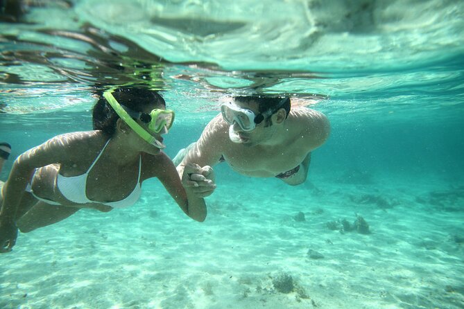 Discover Isla Mujeres: Catamaran, Snorkeling, and "Ice Bar" - Who will enjoy this experience most