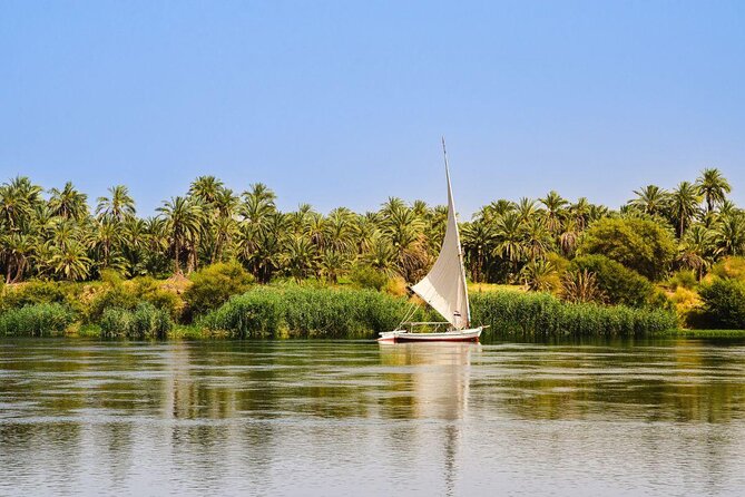 Discover The Amazing Nightlife Of Cairo And Riding the Carriage - Key points to know before booking