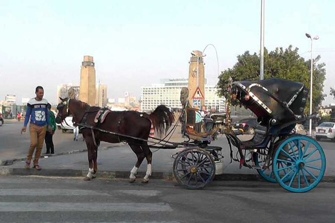 Discover The Amazing Nightlife Of Cairo And Riding the Carriage - A carriage ride through Zamalek and beside the Nile
